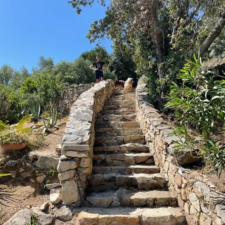 Villa Marinella Porto Pollo Sea View *