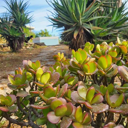 Marinella * Barrabisa