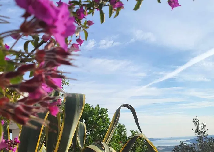 ヴィラ Marinella Barrabisa